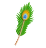 Peacock Feather