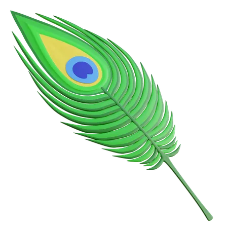 Peacock Feather  3D Icon