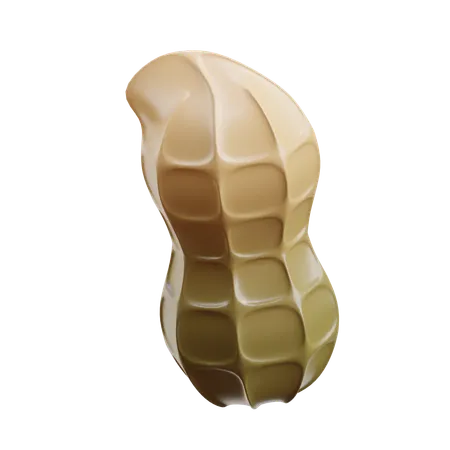 Peanut  3D Icon