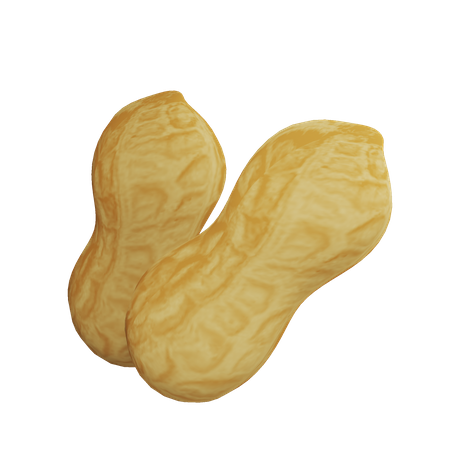 Peanut  3D Icon