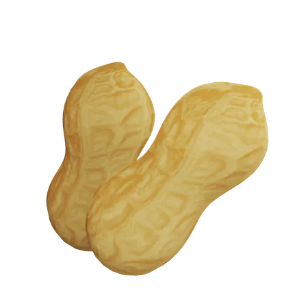 Peanut  3D Icon