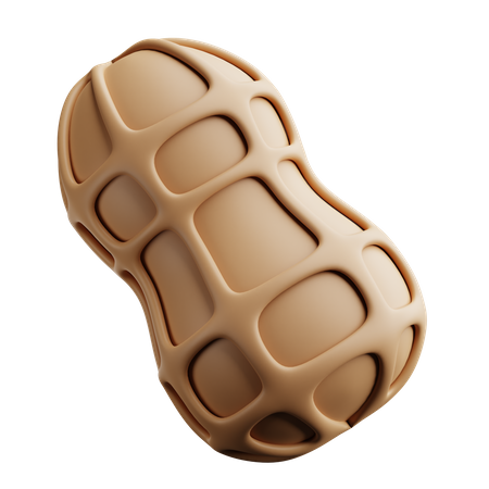 Peanut  3D Icon