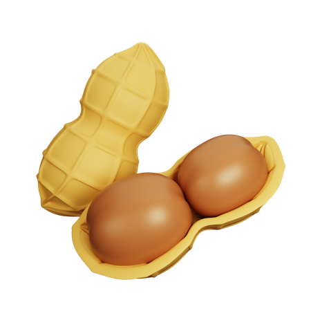 Peanut  3D Icon