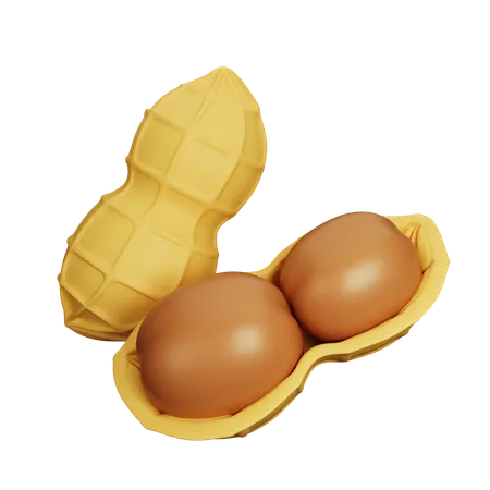 Peanut  3D Icon