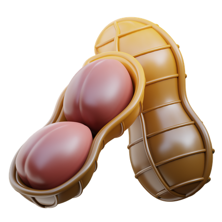 Peanut  3D Icon