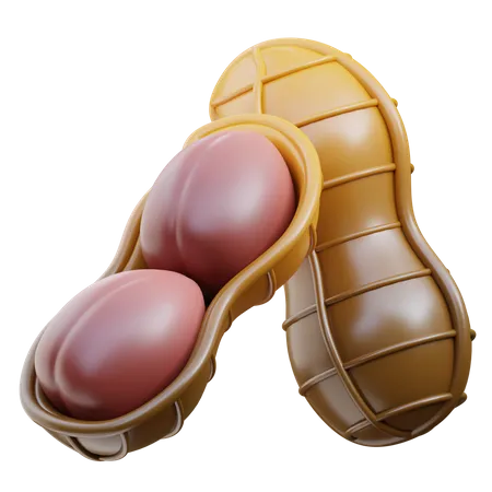 Peanut  3D Icon