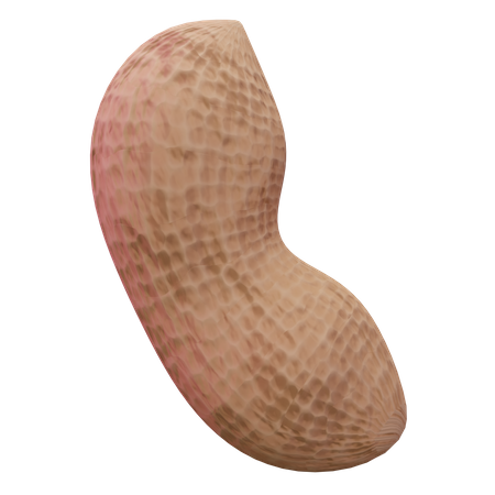 Peanut  3D Icon