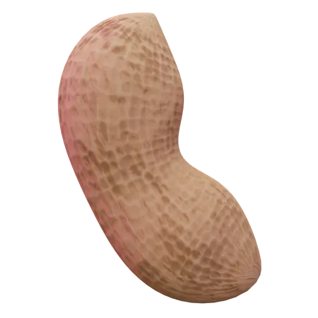 Peanut  3D Icon