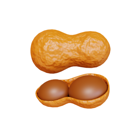 Peanut  3D Icon