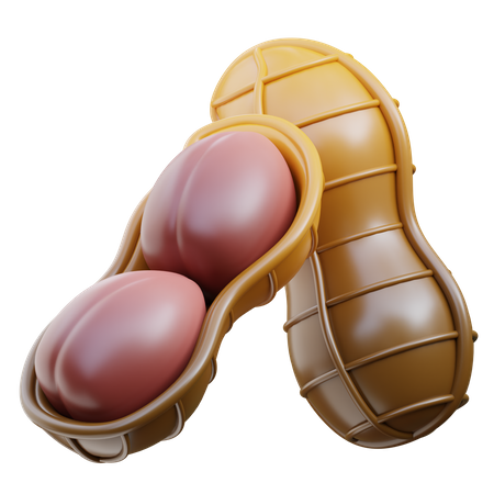 Peanut  3D Icon