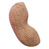 peanut vegetable 3d logo
