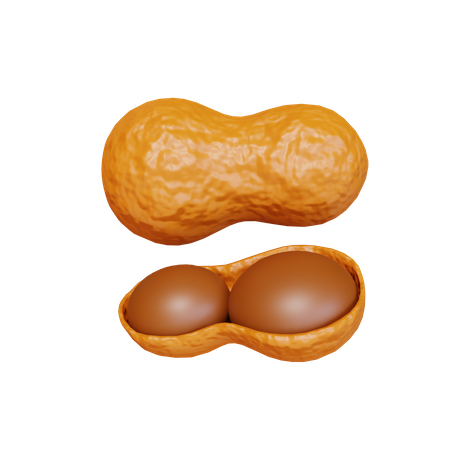 Peanut  3D Icon