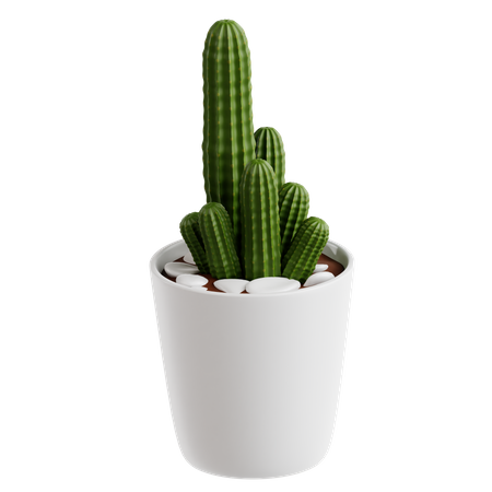 Peanut Cactus  3D Icon