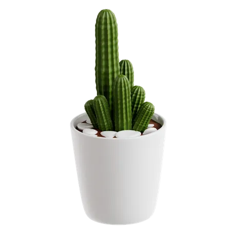 Peanut Cactus  3D Icon