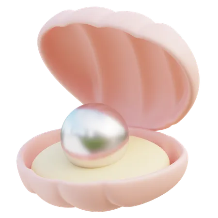 Pearl shell  3D Icon
