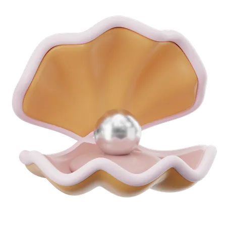 Pearl Shell  3D Icon