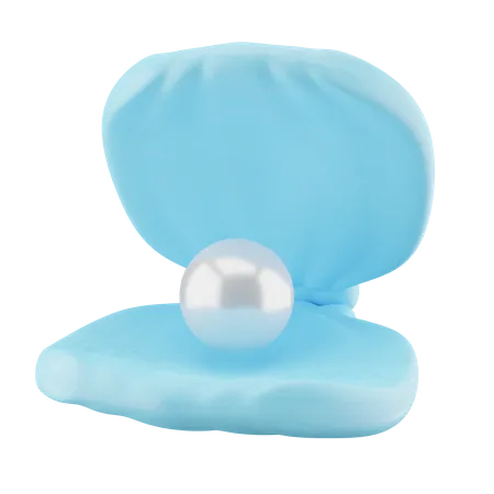 Pearl Shell  3D Icon