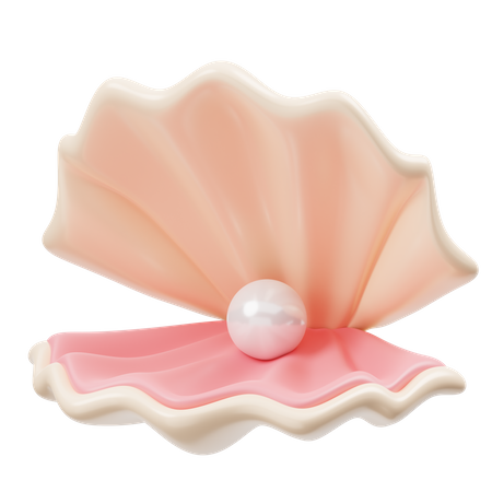 Pearl Shell  3D Icon