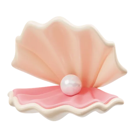 Pearl Shell  3D Icon