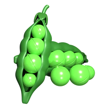 완두콩  3D Icon