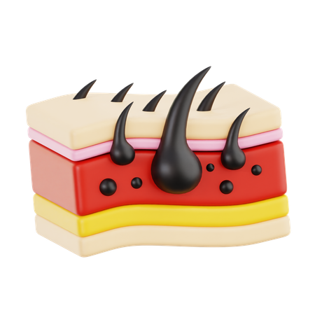 Peau  3D Icon