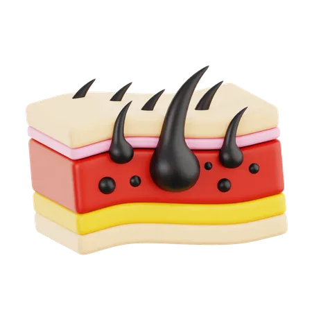 Peau  3D Icon