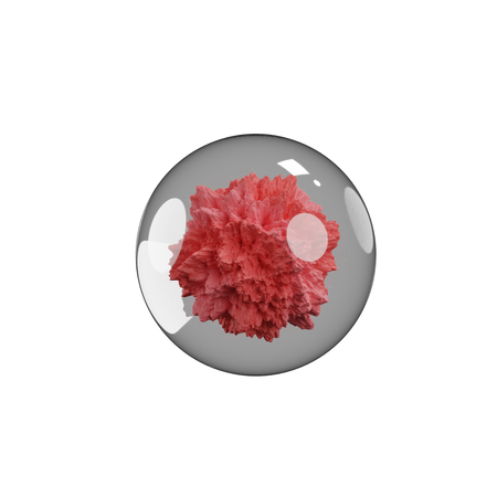 Pedra  3D Icon