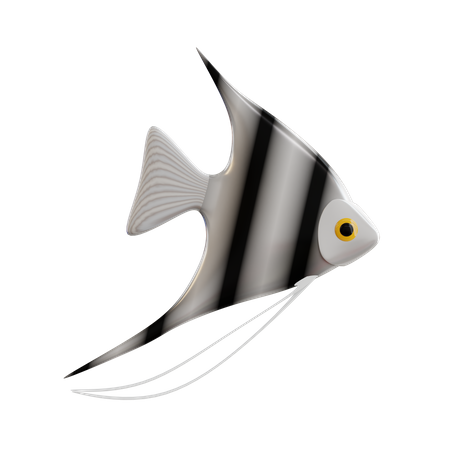 Peixe-anjo  3D Icon