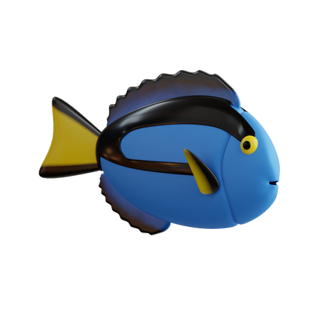 Peixe espiga azul  3D Icon