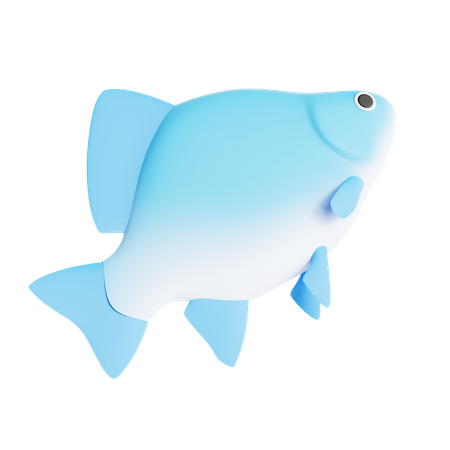 Peixe fresco  3D Icon