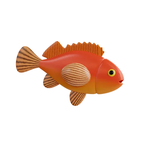 Peixe-rocha  3D Icon