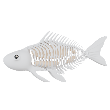 Peixe raio x  3D Icon