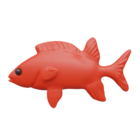 Peixe vermelho  3D Icon