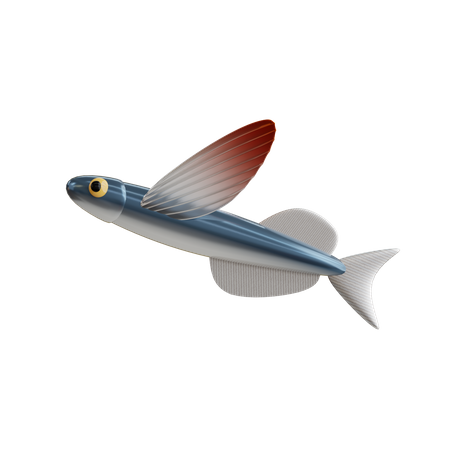 Peixe voador  3D Icon