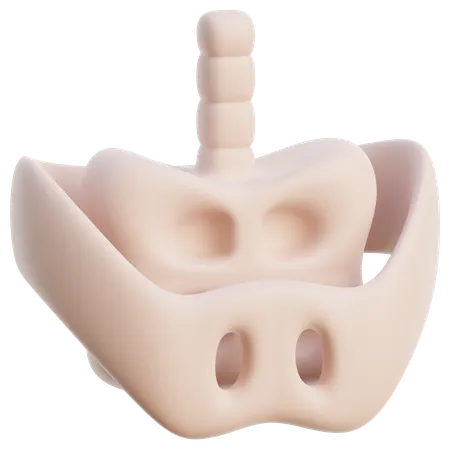 Pelvis Bone  3D Icon
