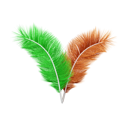 Penas  3D Icon