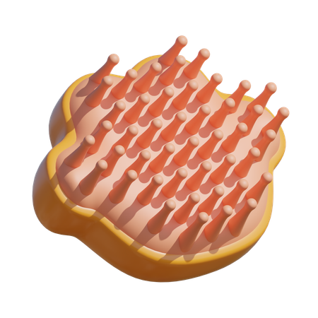 Pente para animais de estimação  3D Icon