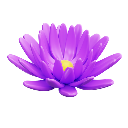 Peony  3D Icon