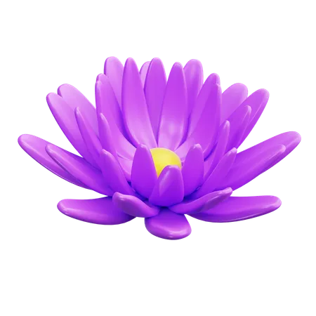 Peony  3D Icon