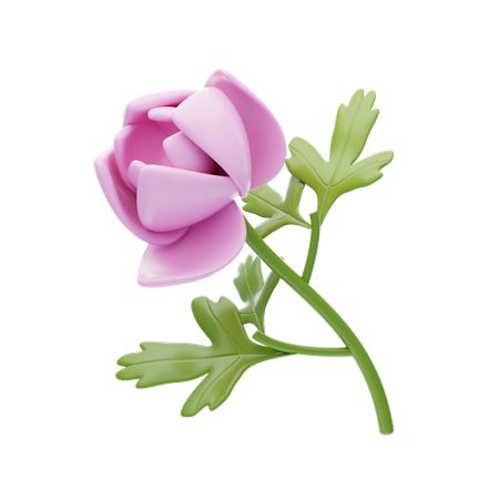 Peony  3D Icon