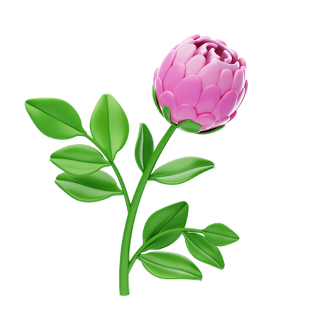 Peony  3D Icon