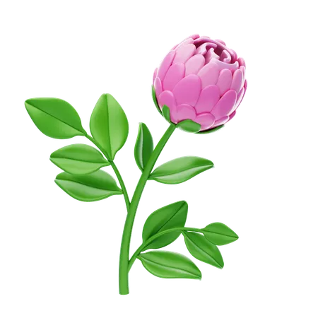 Peony  3D Icon