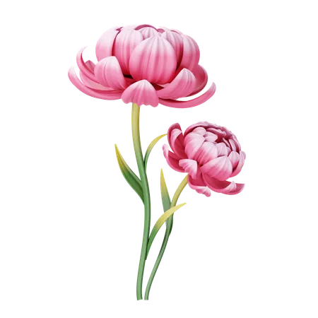 Peony  3D Icon