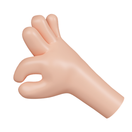 Pequeño gesto con la mano  3D Icon