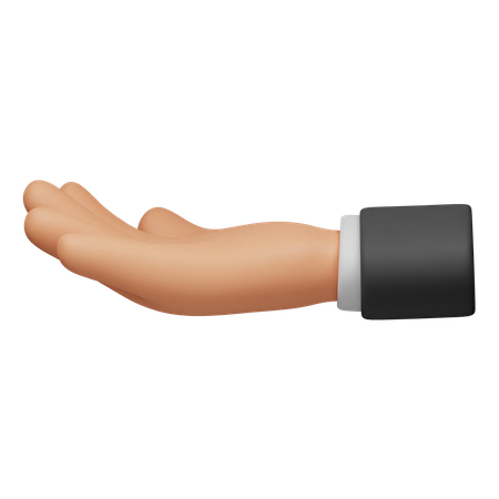 Pergunte o gesto com a mão  3D Icon