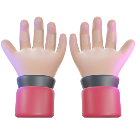 Pergunte o gesto com a mão  3D Icon