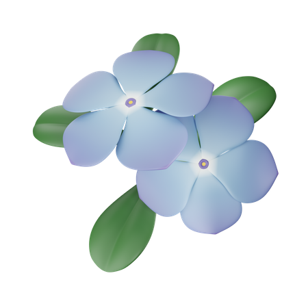 Periwinkle  3D Icon