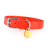 3d dog belt illustration