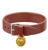 Pet Belt