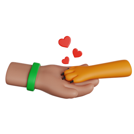 Pet Care  3D Icon